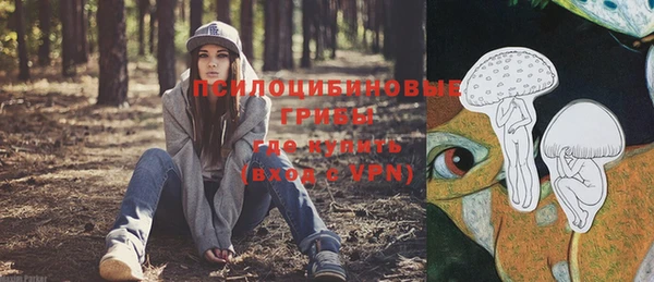 Альфа ПВП Горнозаводск