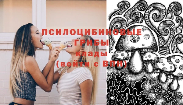Альфа ПВП Горнозаводск