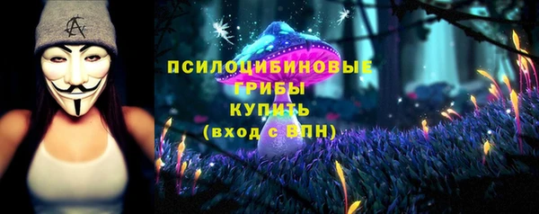 Альфа ПВП Горнозаводск