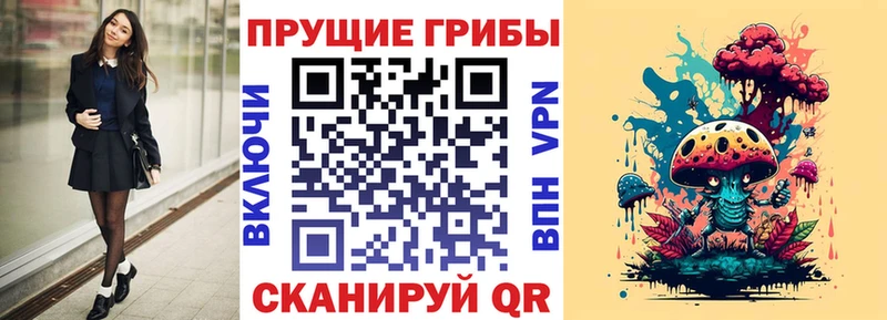 Купить где Болхов Галлюциногенные грибы Cubensis